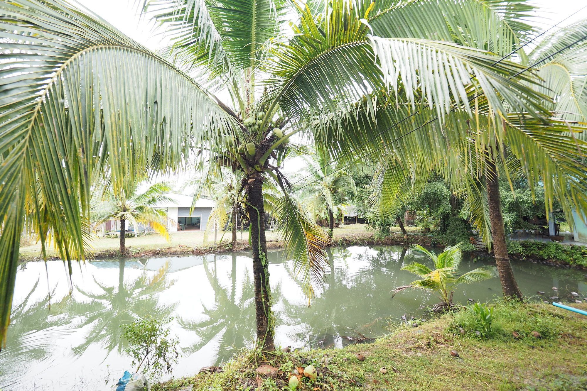 Oyo 75515 Sairung Farmstay Krabi town Exteriör bild